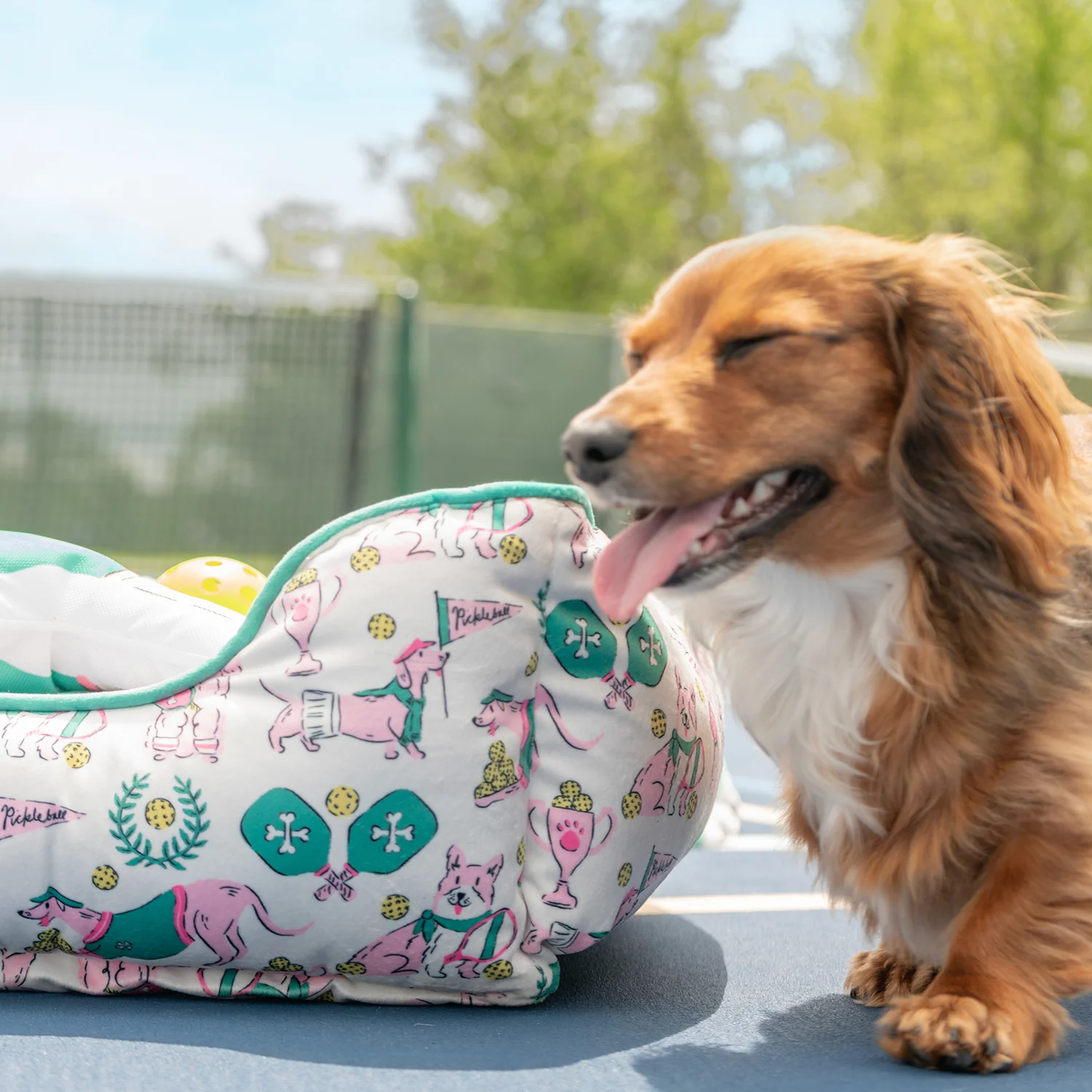 Pickleball Pet Bed & Dog Toy Set - Image 5