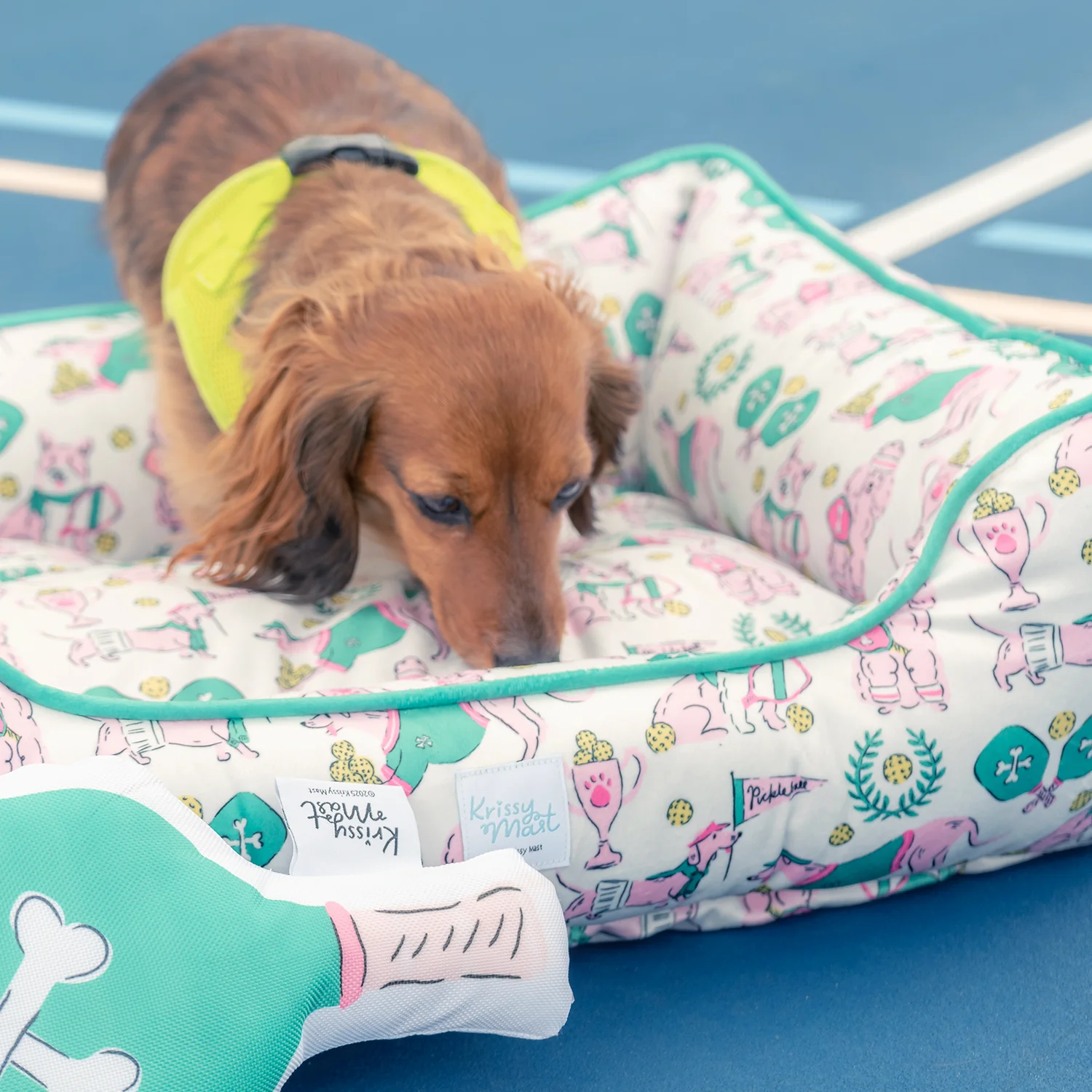 Pickleball Pet Bed & Dog Toy Set - Image 7